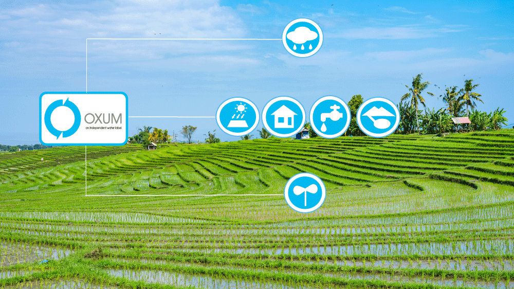 水と暮らしと仕事